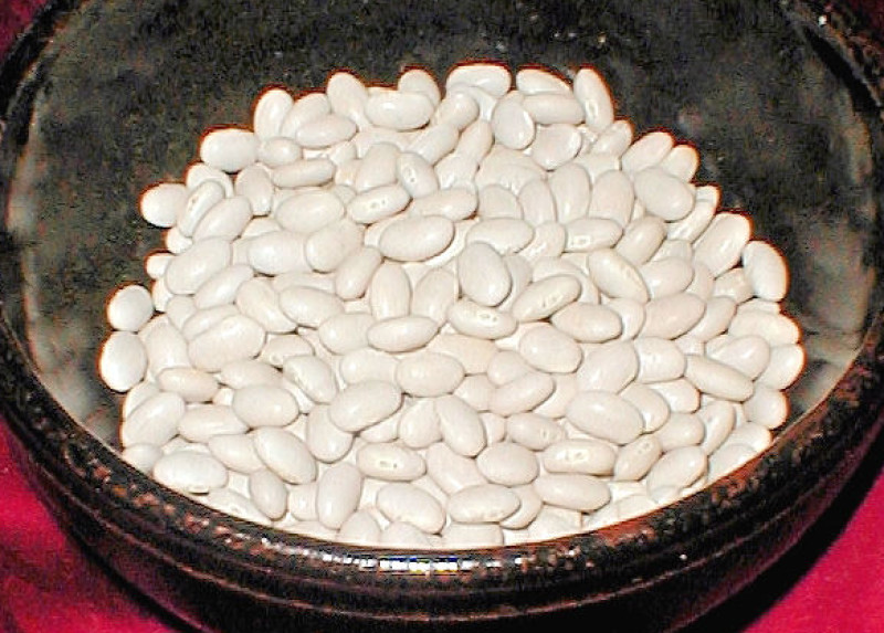 Beans White Mature Seeds Canned 114 Calories Happy Forks