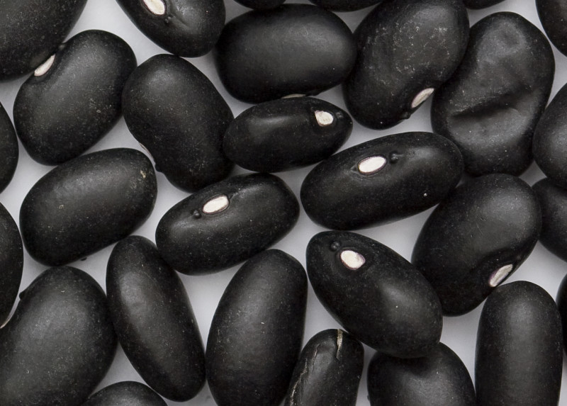 Beans Black Mature Seeds Cooked Boiled 132 Calories Happy Forks