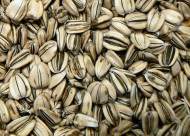 roasted in-shell sunflower seeds