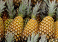 How to check if a pineapple is ripe enough?