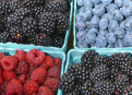 How to keep berries fresh longer.