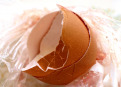 How easily remove the shell of hard boiled egg.