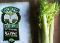 How to keep celery fresh for even month?