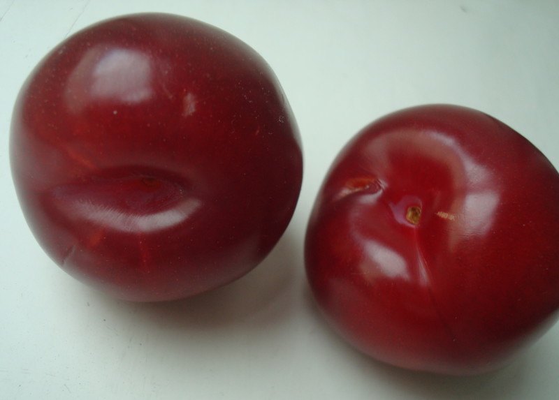 Plums · dried (prunes) · uncooked 240 calories Happy Forks