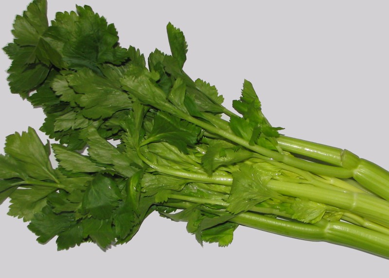 Celery · raw 16 calories Happy Forks