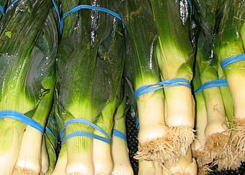 Leeks · (bulb and lower leafportion) · raw 61 calories Happy Forks