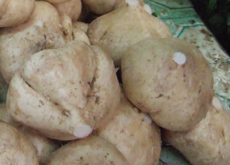 Yambean (jicama) · cooked · boiled · drained 36 calories Happy Forks