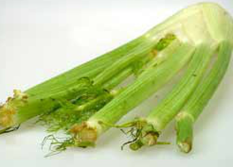 Fennel · bulb · raw 31 calories Happy Forks