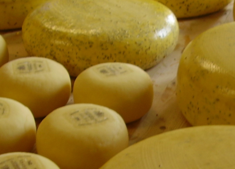 Cheese · gouda 356 calories Happy Forks