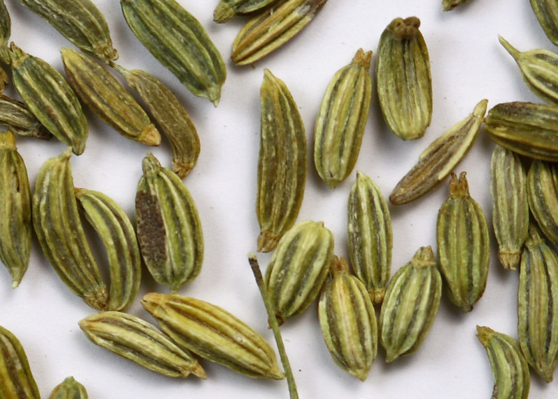 Spices · fennel seed 345 calories Happy Forks