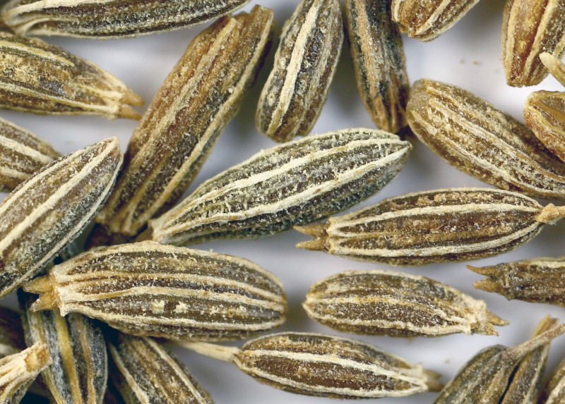 Spices · cumin seed 375 calories Happy Forks