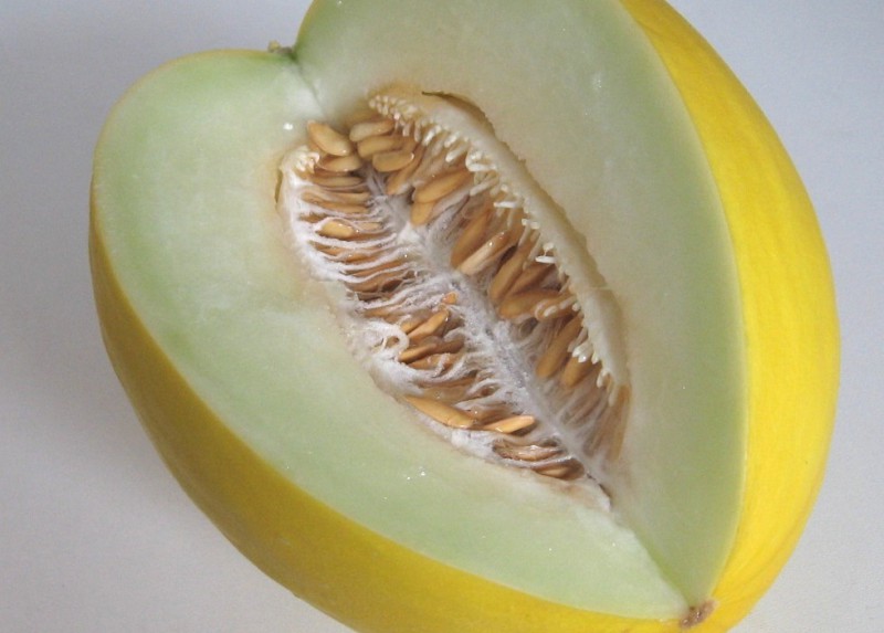 Melons · honeydew · raw 36 calories Happy Forks