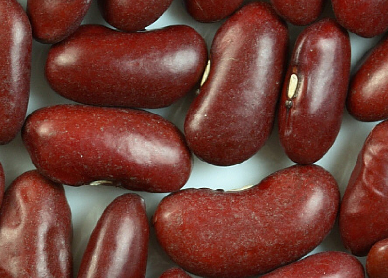 Beans · kidney · red · mature seeds · canned 121 calories Happy Forks