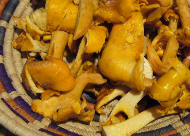 Mushrooms · Chanterelle · raw 38 calories Happy Forks