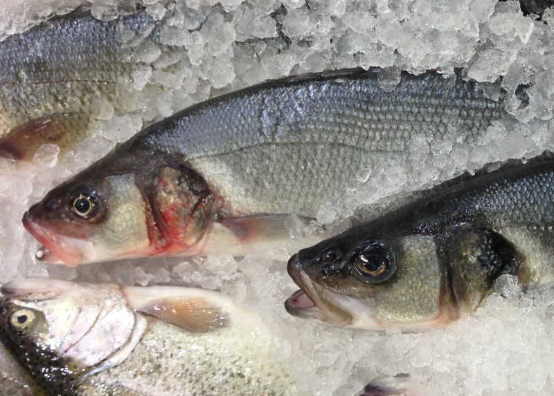 Fish · sea bass · coated · baked or broiled | 207 calories | Happy Forks