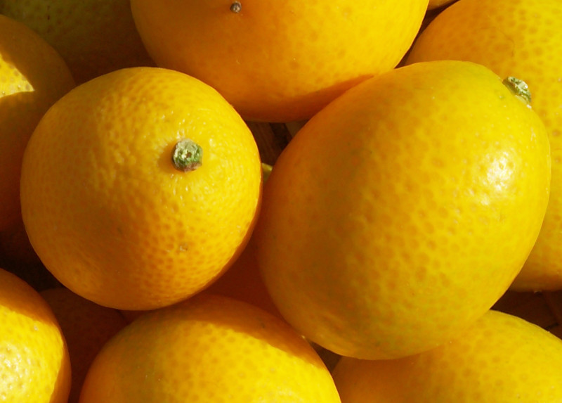 Kumquats · raw 71 calories Happy Forks