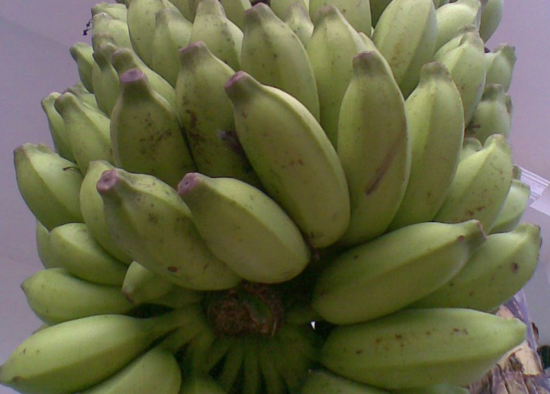 Plantains · yellow · fried · Latino restaurant 236 calories Happy Forks