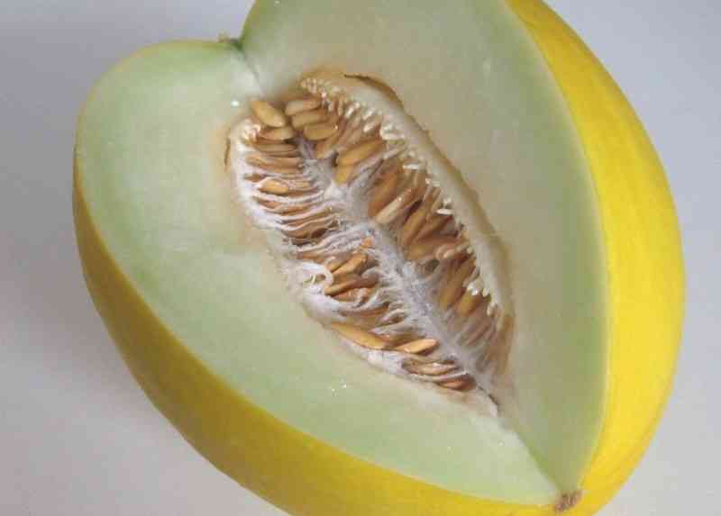 Melons, Honeydew