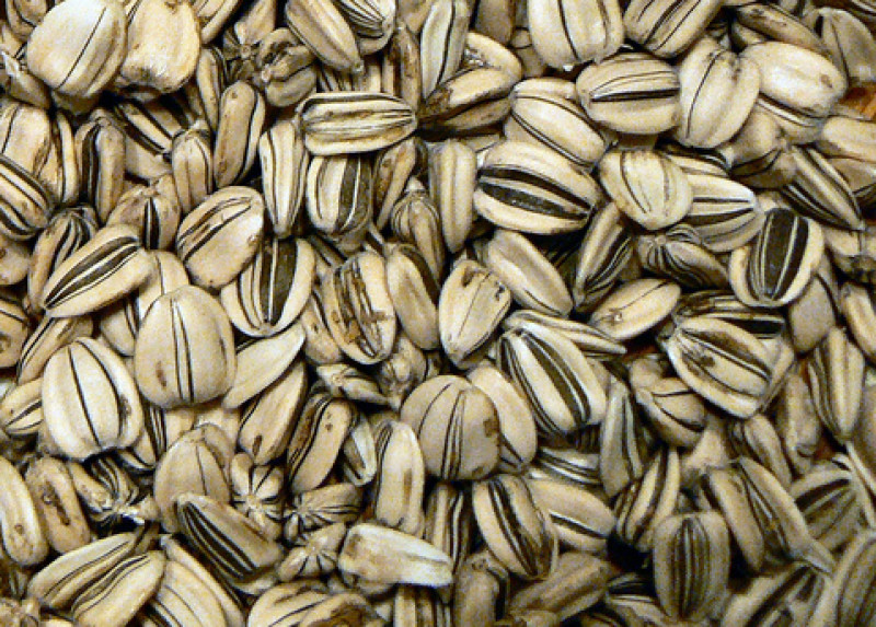 Roasted inshell sunflower seeds recipe 73 calories Happy Forks