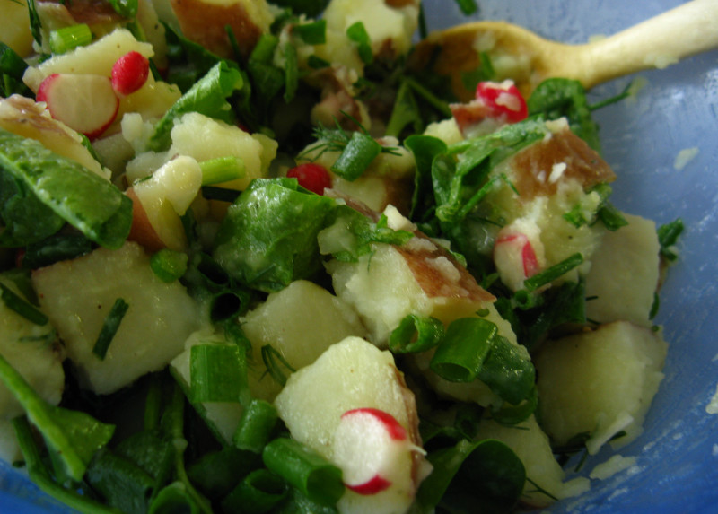 Warm lentil and potato salad recipe | 172 calories | Happy Forks