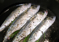roasted mustard mackerel with fennel